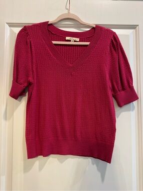 Le Sweater Women's V-Neck Short Sleeve Sweater - Raspberry